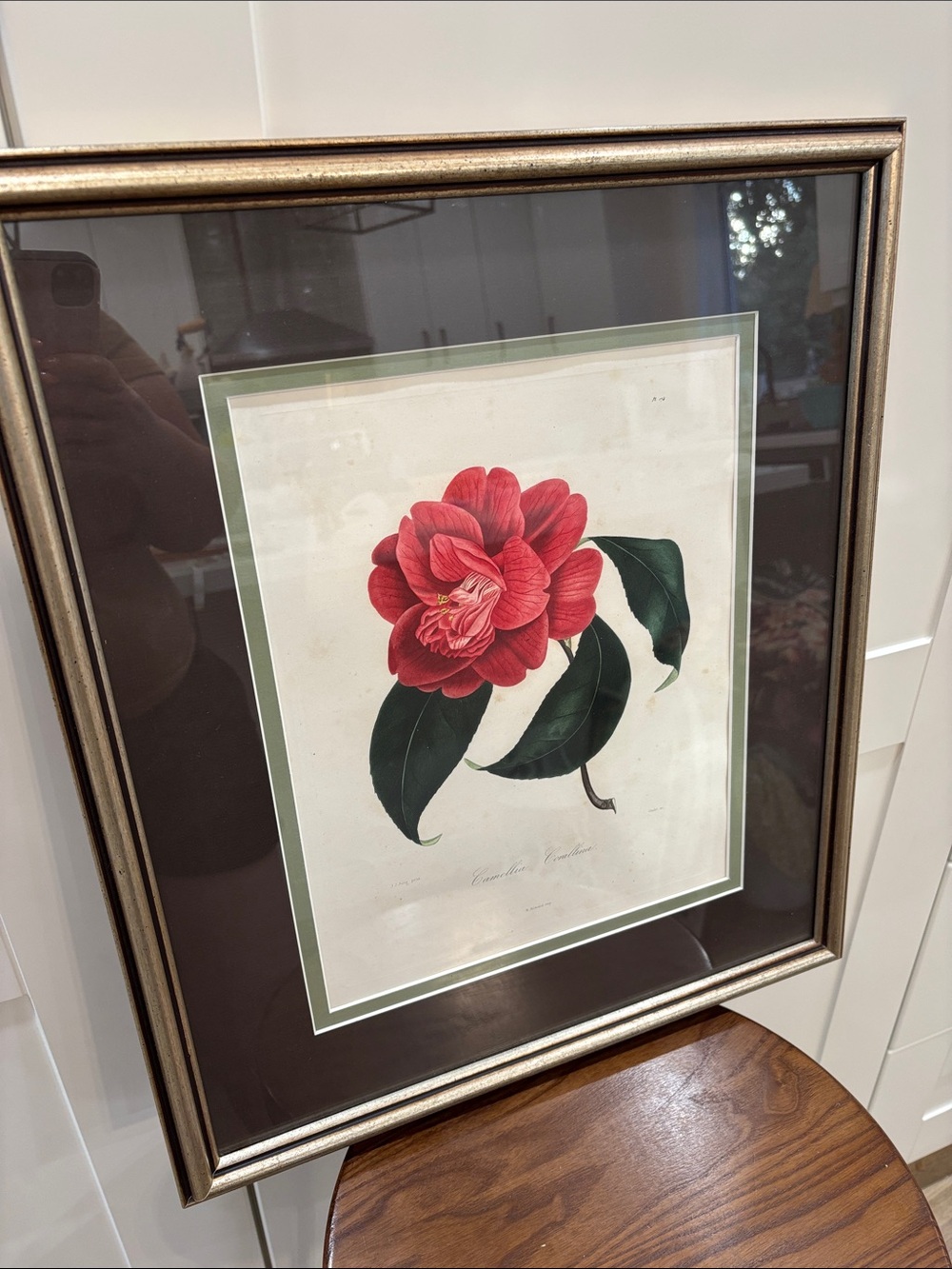 Framed Red Camellia Botanical Wall Art by